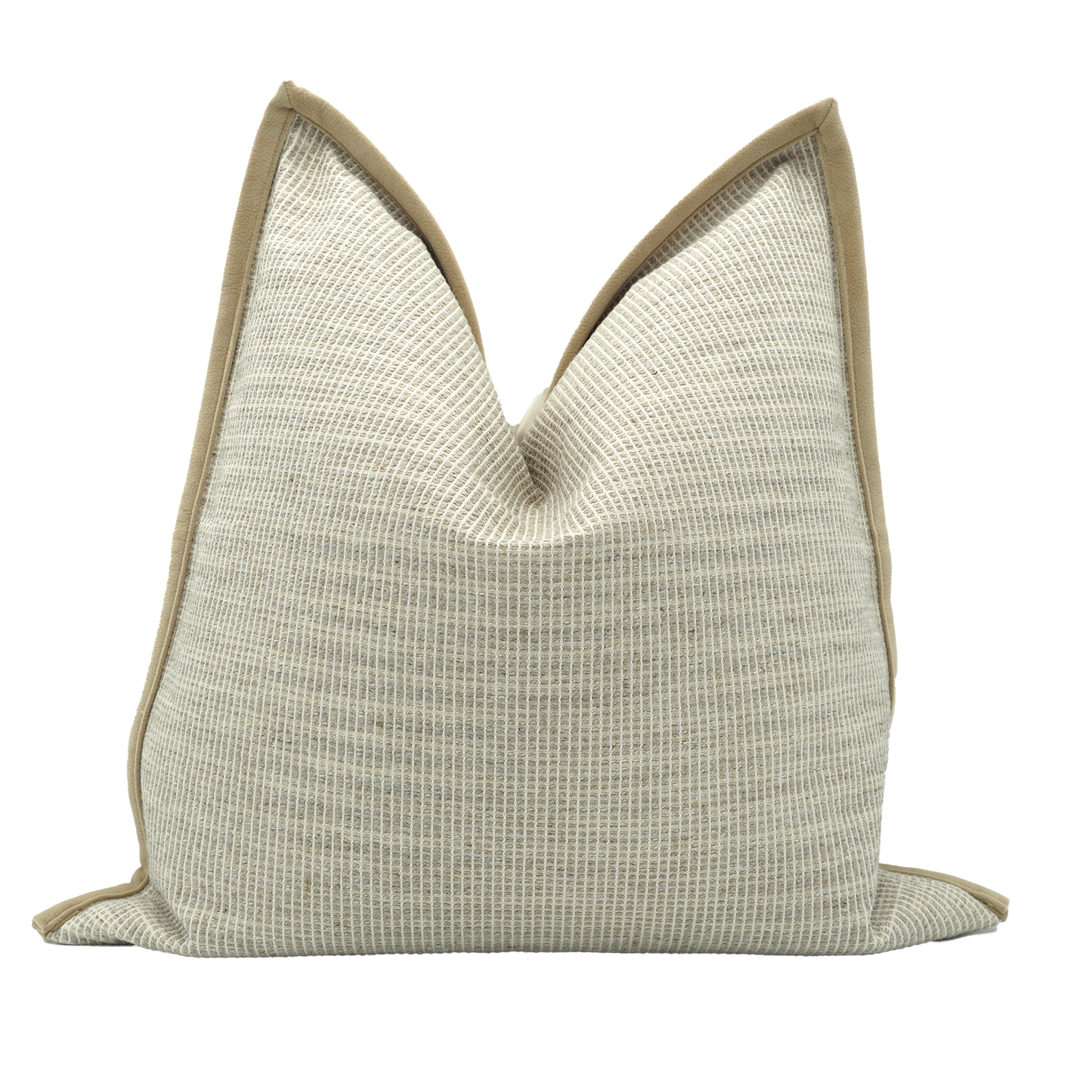 Cushion Cover 037