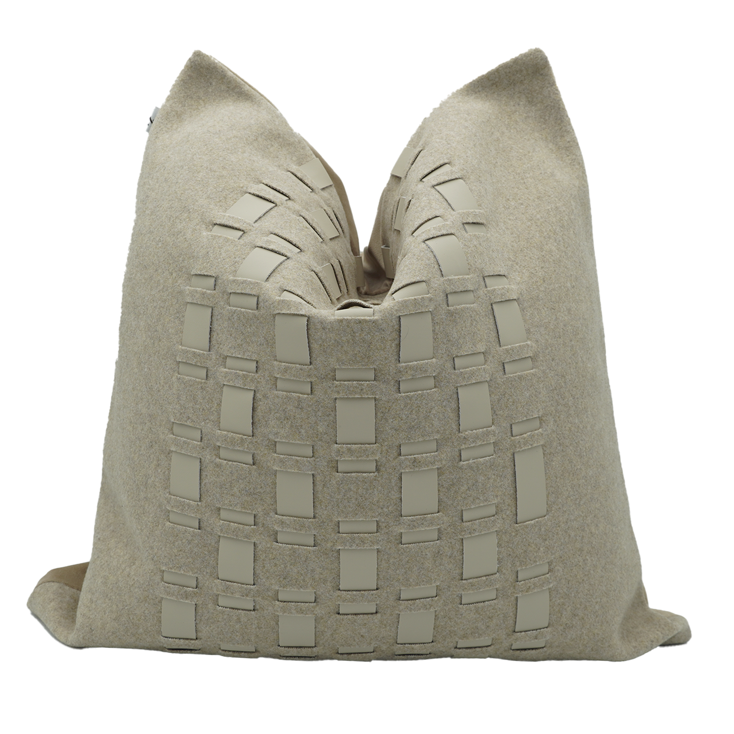Cushion Cover 025